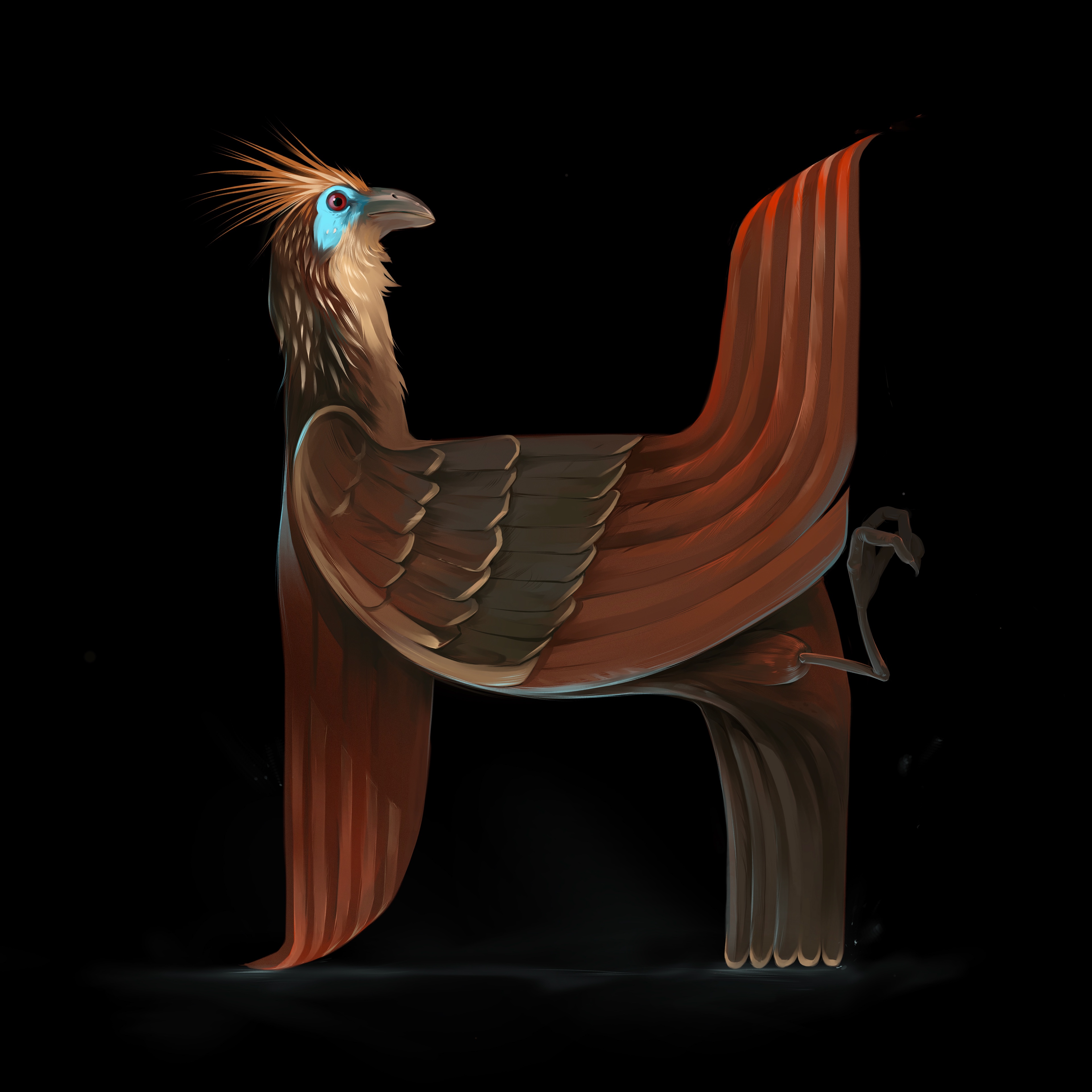 Animal Illustrations — Animal Illustrations 10