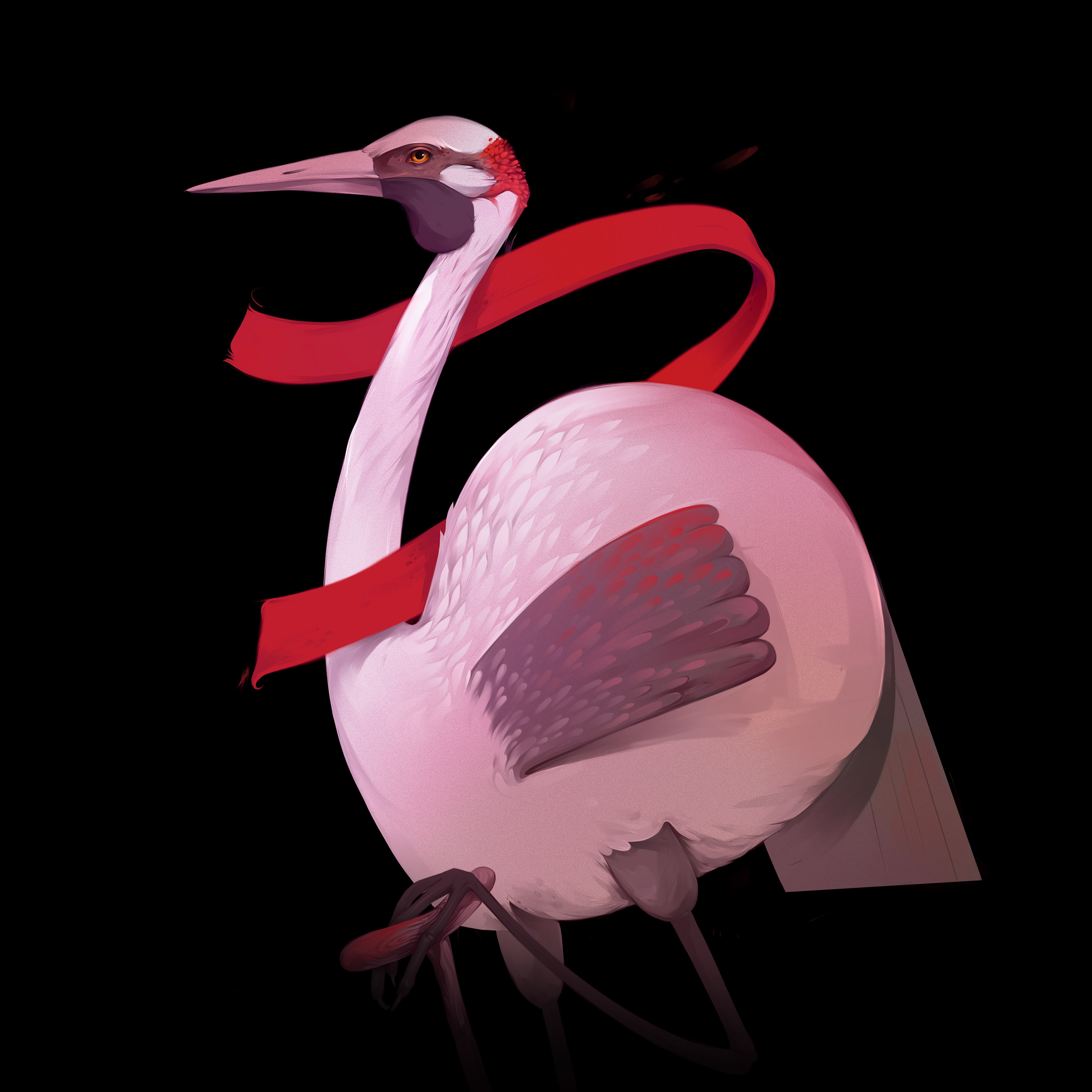 Animal Illustrations — Animal Illustrations 4