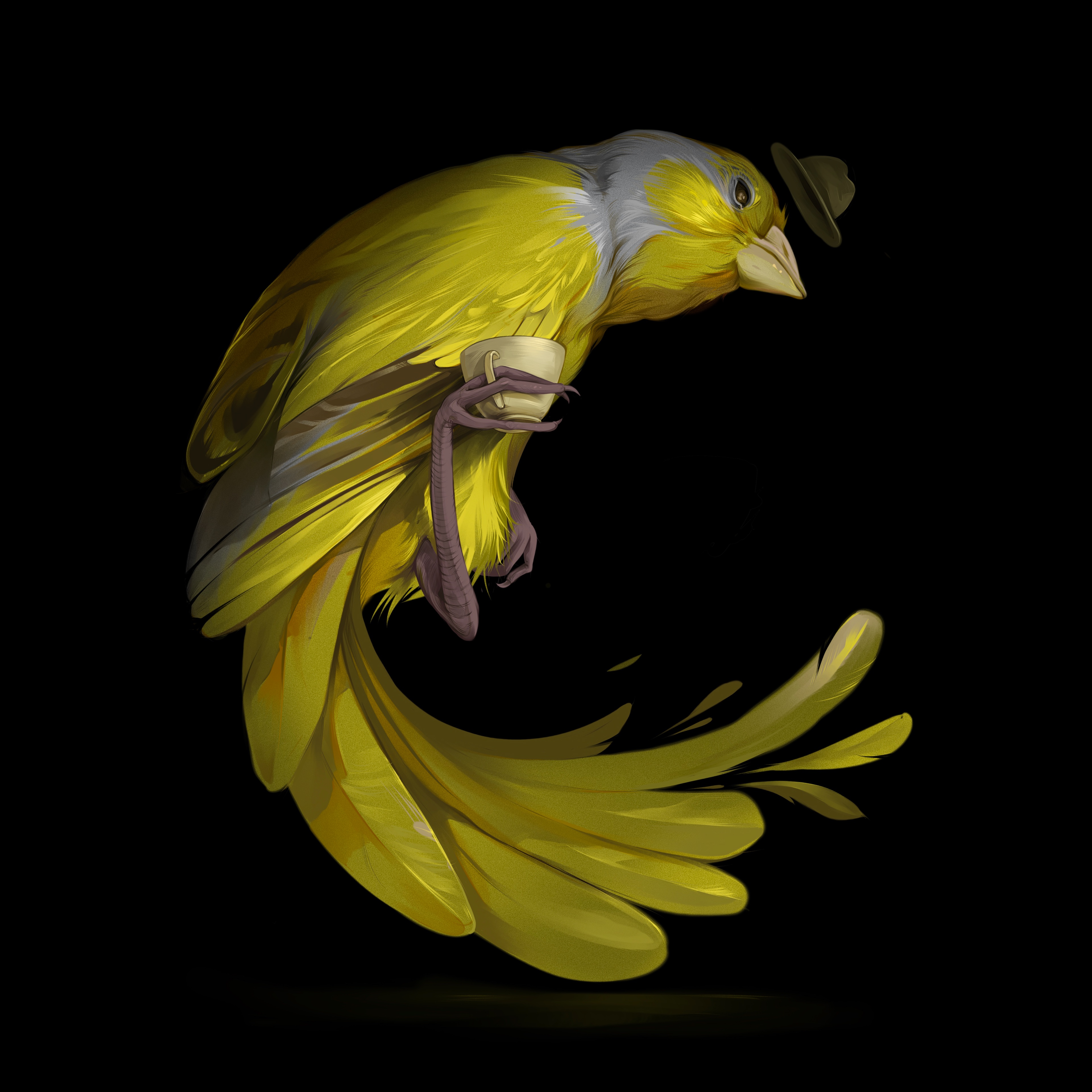 Animal Illustrations — Animal Illustrations 5