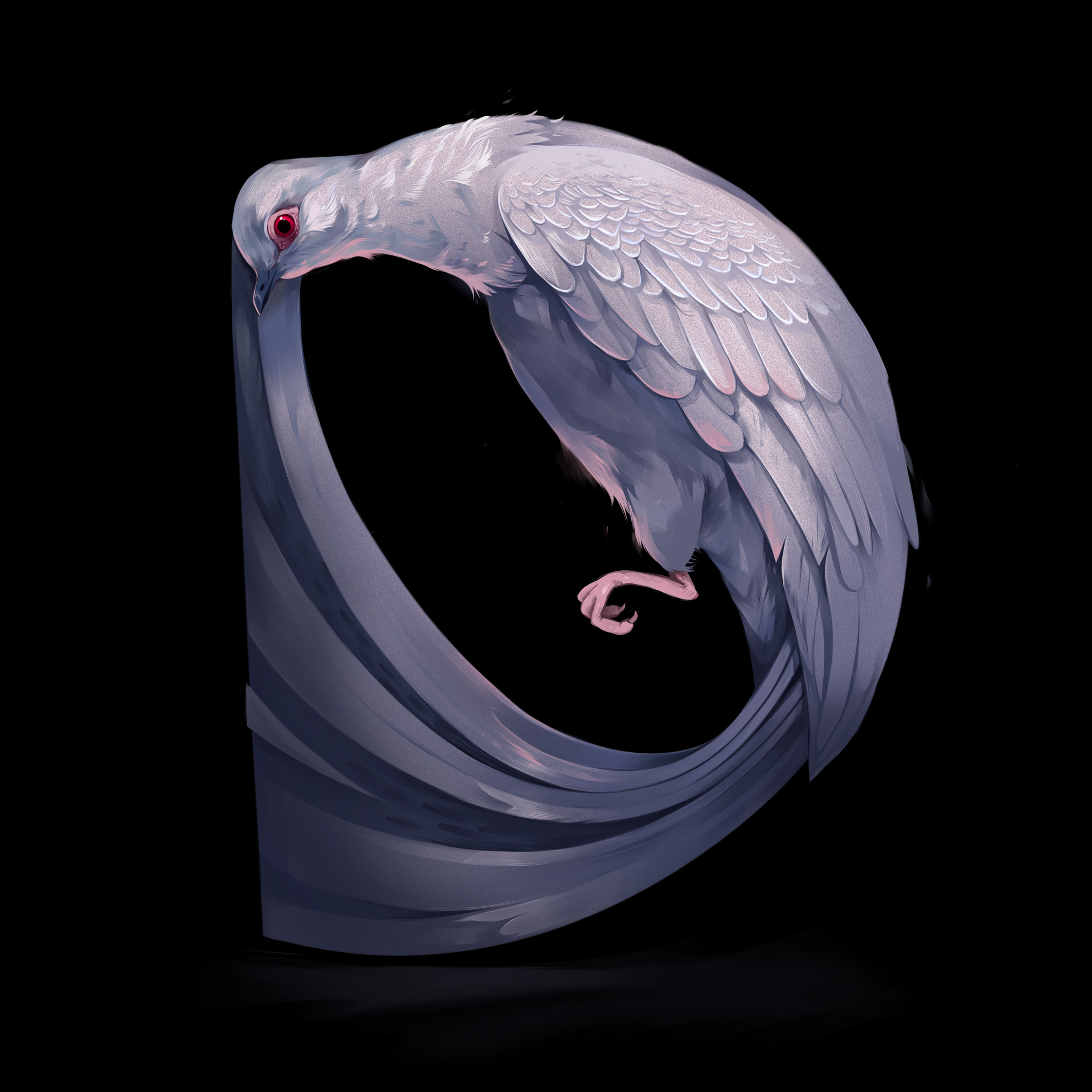Animal Illustrations — Animal Illustrations 6