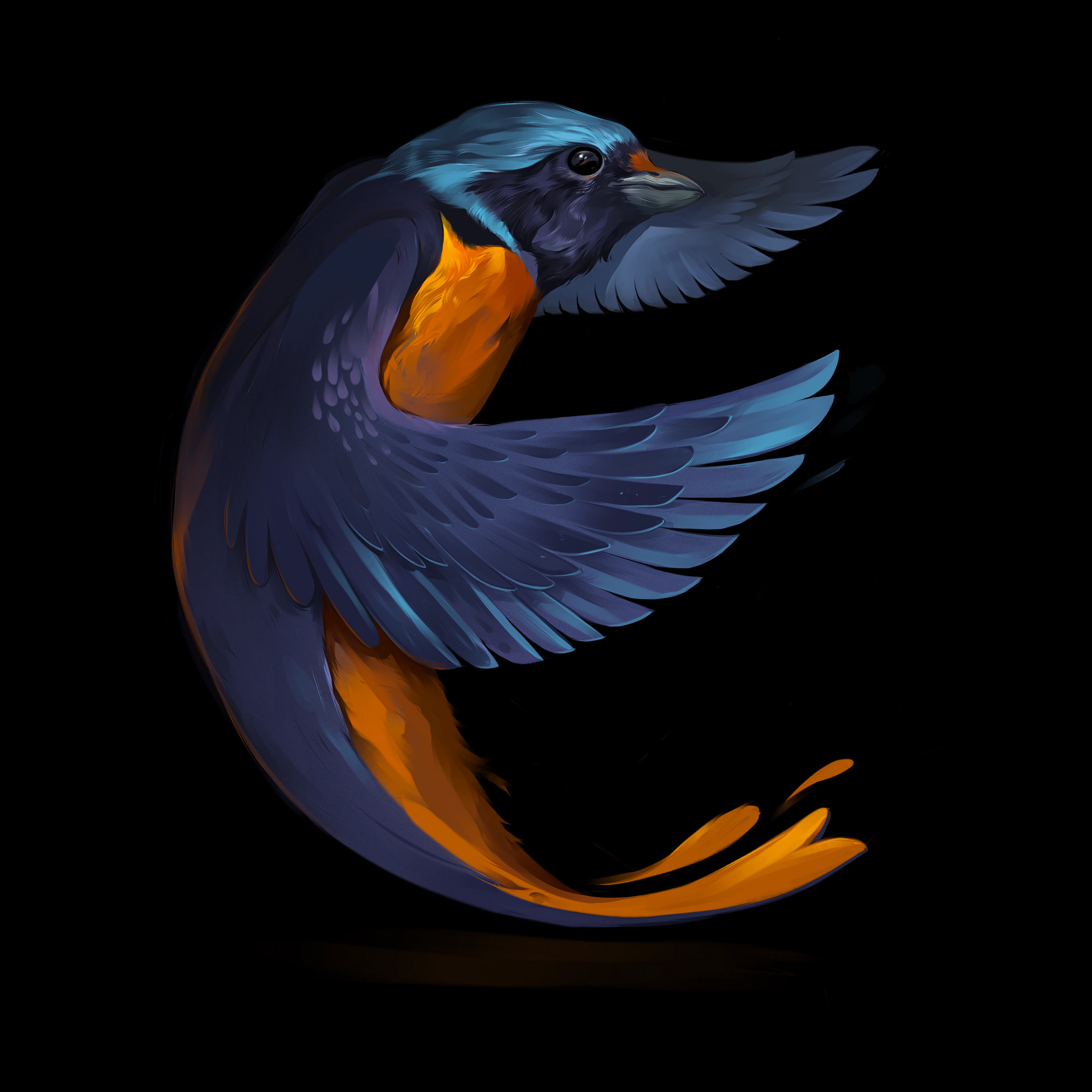 Animal Illustrations — Animal Illustrations 7