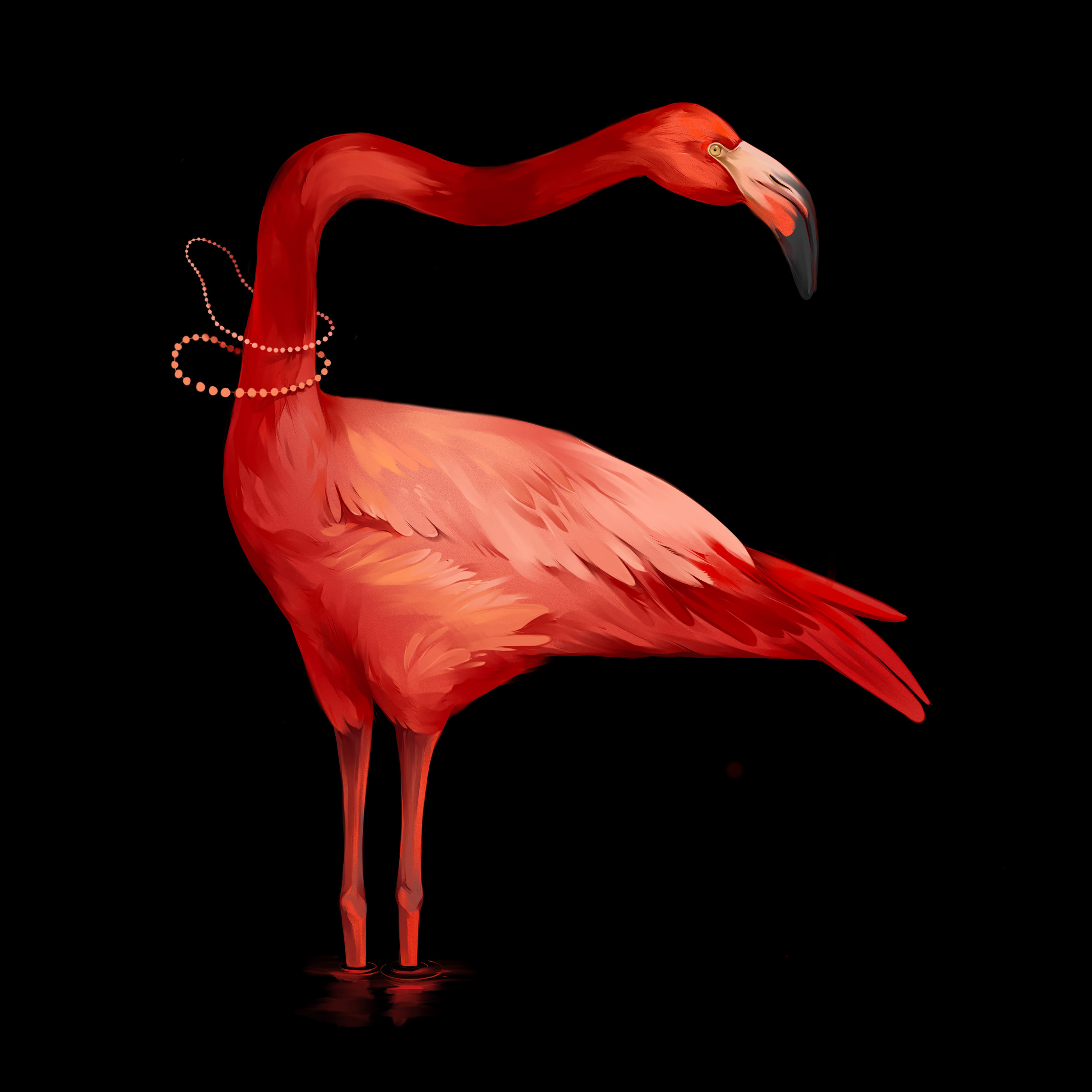 Animal Illustrations — Animal Illustrations 8