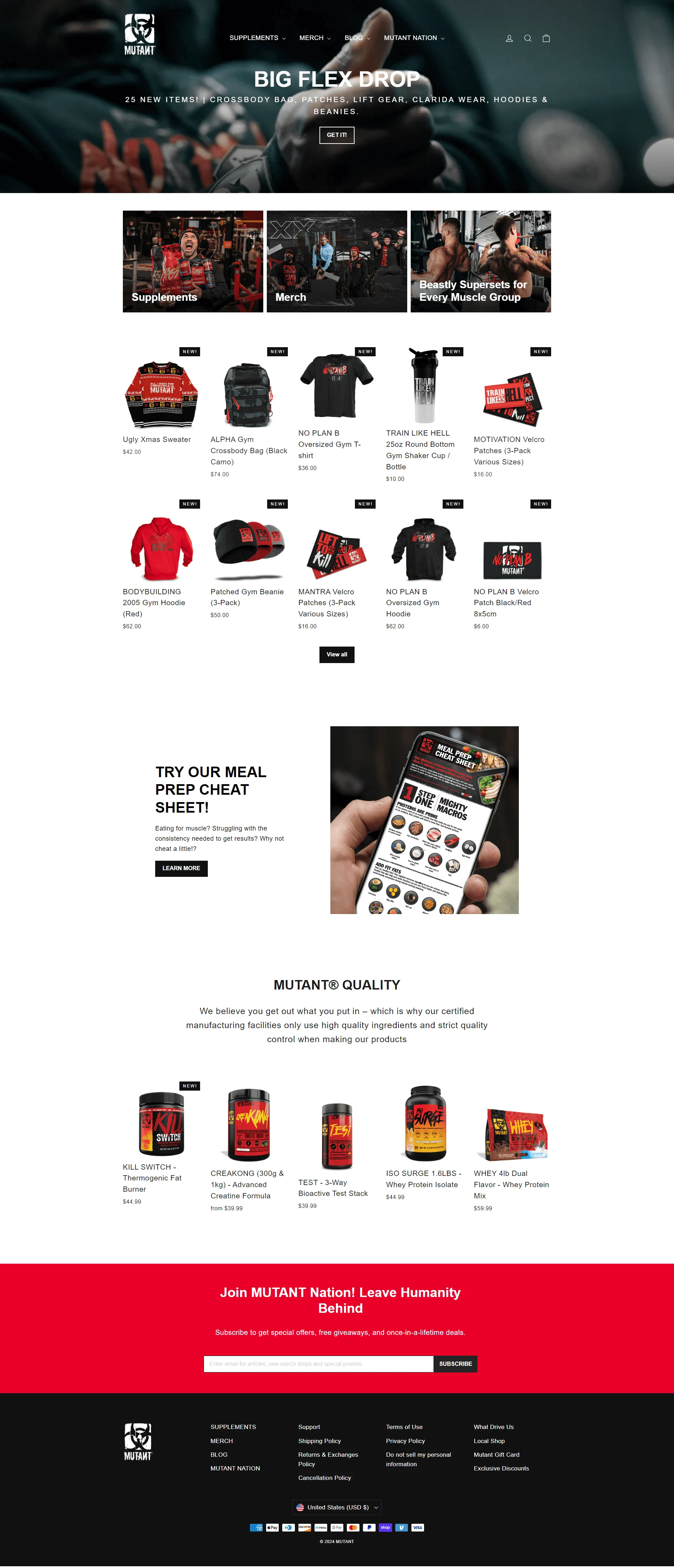 Website — Shopify 5